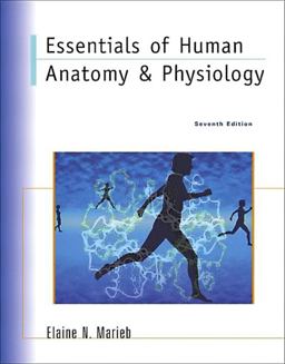 Essentials of Human Anatomy and Physiology Essentials of Human Anatomy and Physiology