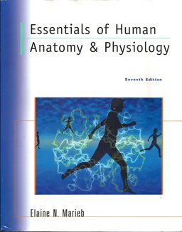 Essentials of Human Anatomy and Physiology