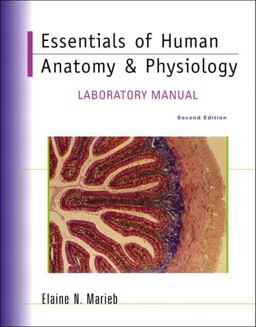 Essentials of Human Anatomy and Physiology Essentials of Human Anatomy and Physiology