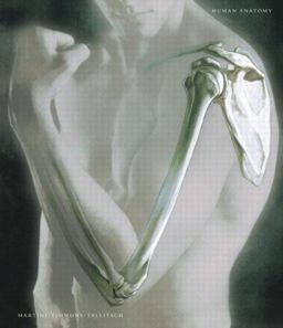 Human Anatomy Human Anatomy