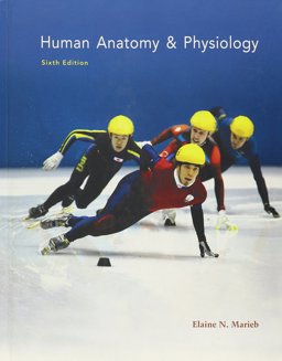 Human Anatomy and Physiology Human Anatomy and Physiology