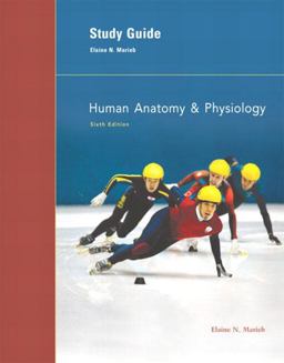 Human Anatomy & Physiology Human Anatomy & Physiology