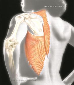 Human Anatomy with Clinical Issues in Anatomy plus Access to Human Anatomy Place and Anatomy360 CD-ROM Human Anatomy with Clinical Issues in Anatomy plus Access to Human Anatomy Place and Anatomy360 CD-ROM