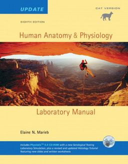 Human Anatomy and Physiology Human Anatomy and Physiology