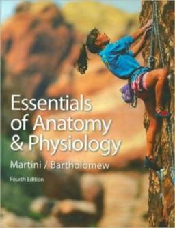 Essentials of Anatomy and Physiology Essentials of Anatomy and Physiology