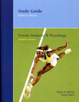 Human Anatomy and Physiology
