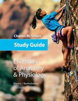 Essentials of Anatomy and Physiology Essentials of Anatomy and Physiology