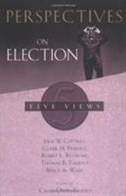 Perspectives on Election  9780805427295 Front Cover