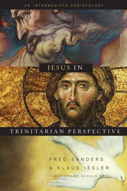 Jesus in Trinitarian Perspective An Introductory Christology  9780805444223 Front Cover