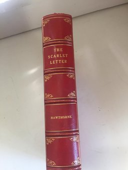 The Scarlet Letter