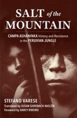 Salt of the Mountain Campa Ashaninka History and Resistance in the Peruvian Jungle  9780806135120 Front Cover
