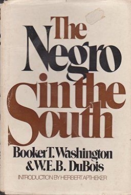 The Negro in the South