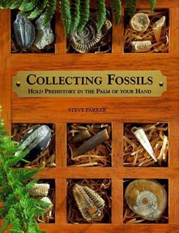 Collecting Fossils