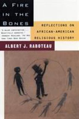 Fire in the Bones Reflections on African-American Religious History  9780807009338 Front Cover