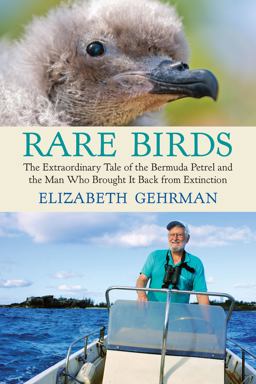 Rare Birds The Extraordinary Tale of the Bermuda Petrel and the Man Who Brought It Back from Extinction  9780807010761 Front Cover