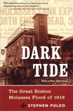Dark Tide The Great Boston Molasses Flood of 1919  9780807050200 Front Cover
