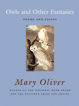 Owls and Other Fantasies Poems and Essays  9780807068755 Front Cover