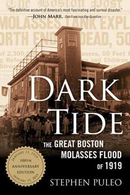 Dark Tide The Great Boston Molasses Flood Of 1919 100th 9780807078006 Front Cover