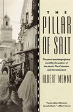 Pillar of Salt  9780807083277 Front Cover