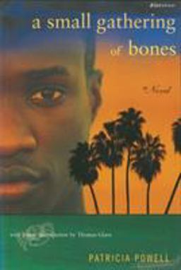 Small Gathering of Bones  9780807083673 Front Cover