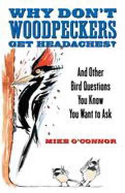 Why Don't Woodpeckers Get Headaches? And Other Bird Questions You Know You Want to Ask  9780807085745 Front Cover