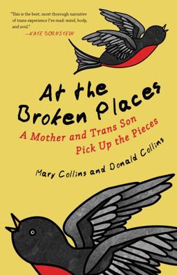 At the Broken Places A Mother and Trans Son Pick up the Pieces  9780807088357 Front Cover