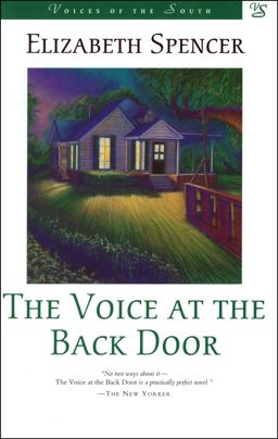 Voice at the Back Door A Novel  9780807119273 Front Cover