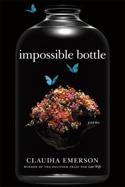 Impossible Bottle Poems  9780807160831 Front Cover