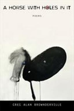 Horse with Holes in It Poems  9780807163542 Front Cover