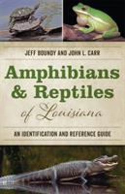 Amphibians and Reptiles of Louisiana An Identification and Reference Guide  9780807165485 Front Cover