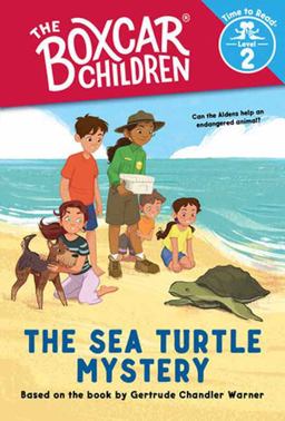 The Sea Turtle Mystery