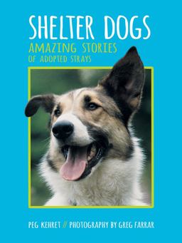 Shelter Dogs Amazing Stories of Adopted Strays  9780807573365 Front Cover