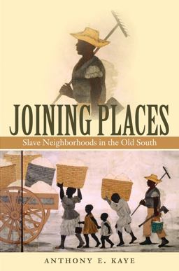 Joining Places Slave Neighborhoods in the Old South  9780807861790 Front Cover