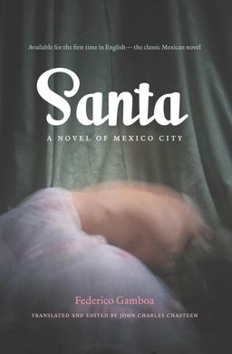 Santa A Novel of Mexico City  9780807871072 Front Cover