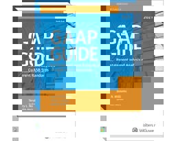 GAAP Guide (2021)