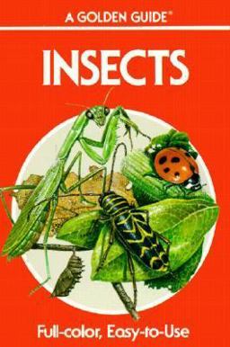 Insects