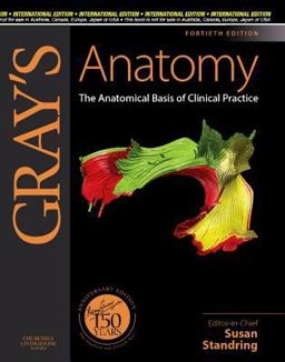 Gray's Anatomy