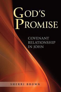 God's Promise Covenant Relationship in John  9780809148998 Front Cover