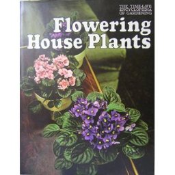 Flowering House Plants
