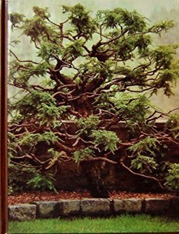 Pruning and Grafting Pruning and Grafting