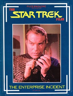 The Enterprise Incident