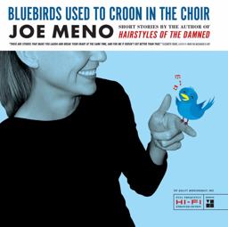 Bluebirds Used to Croon in the Choir Stories  9780810124240 Front Cover