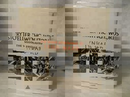 Storyteller Without Words