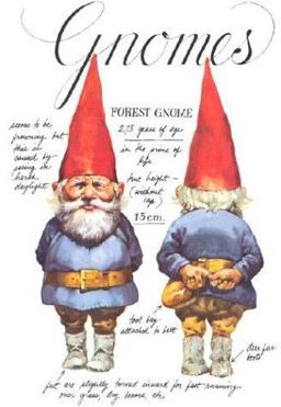 Gnomes  9780810909656 Front Cover