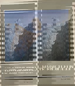 The Menil Collection