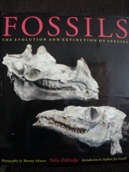 Fossils
