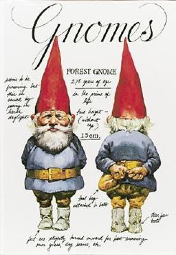 Gnomes Thirtieth Anniversary Edition 30th 9780810954984 Front Cover