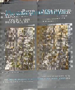 Picasso and Braque Picasso and Braque