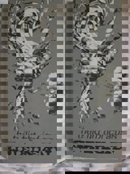 The Flight of Icarus