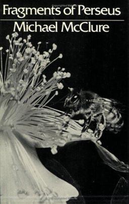 Fragments of Perseus